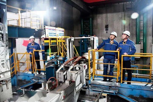 让核心技术实现国产化——记河钢邯钢冷轧厂厂长、正高级工程师张卫革